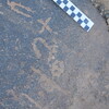Image of siglum BES20 816