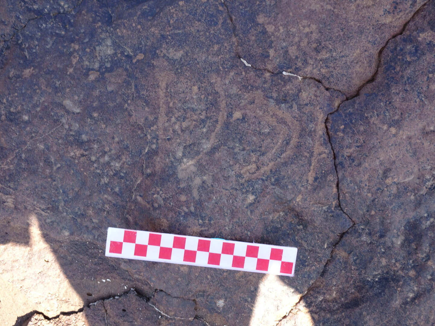Image of siglum BES20 825