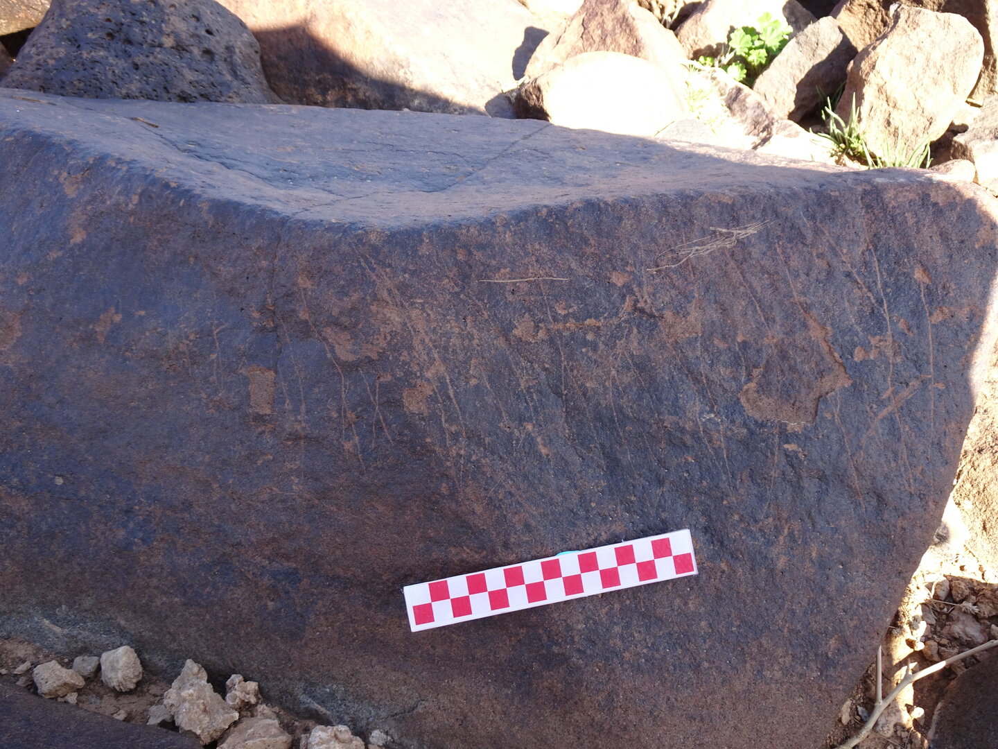 Image of siglum BES20 826