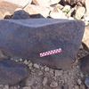 Image of siglum BES20 826