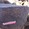 Image of siglum BES20 826