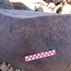 Image of siglum BES20 826