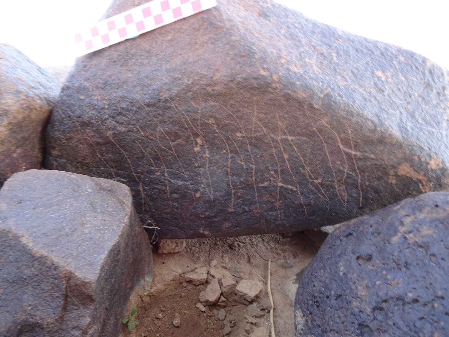 Image of siglum BES20 827