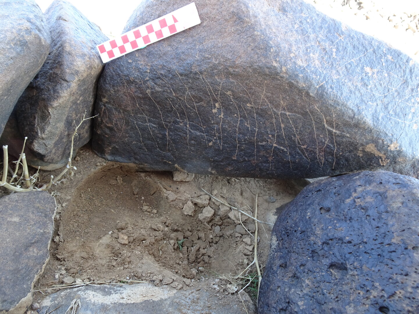 Image of siglum BES20 827