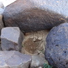 Image of siglum BES20 827