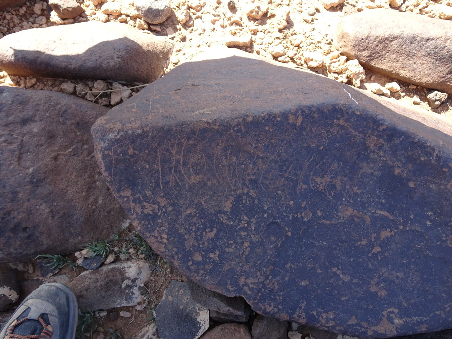 Image of siglum BES20 828