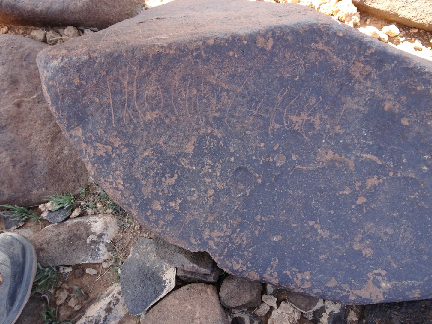 Image of siglum BES20 828