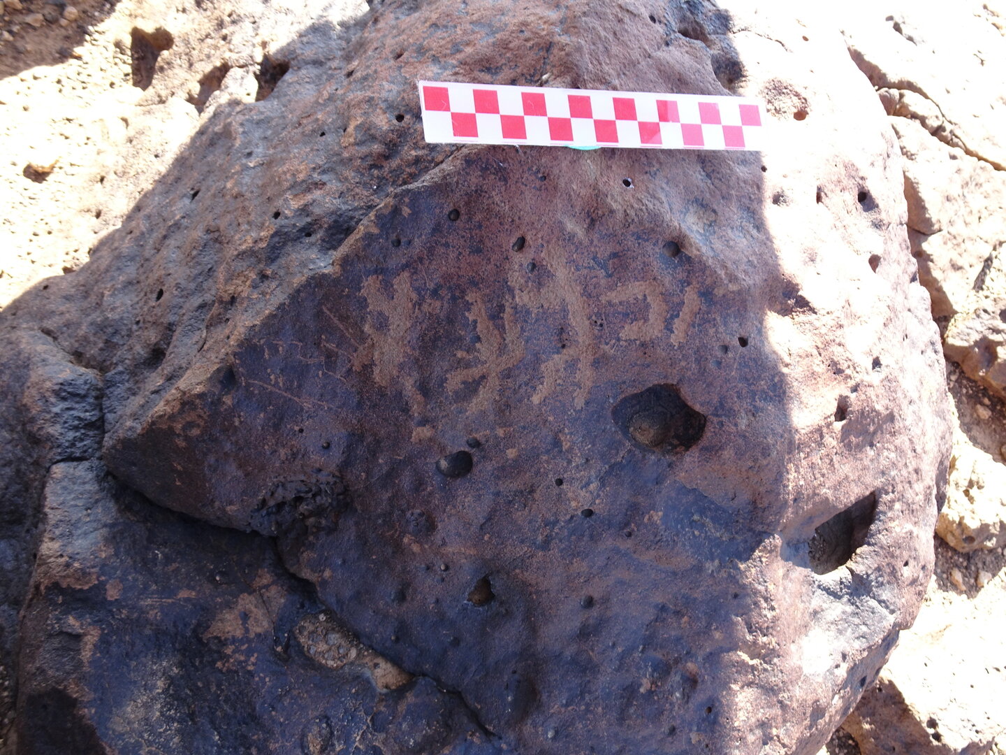 Image of siglum BES20 833