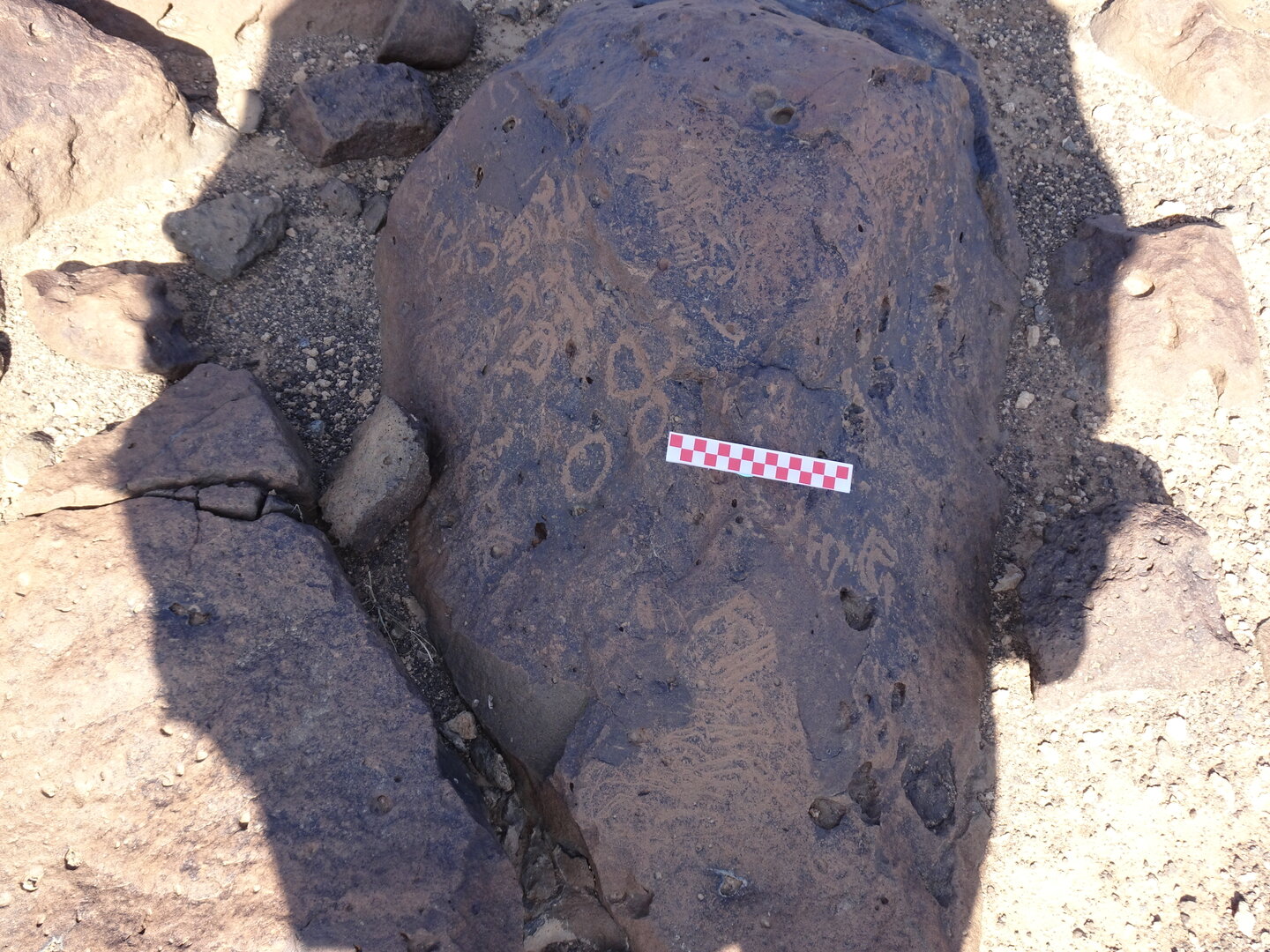 Image of siglum BES20 835