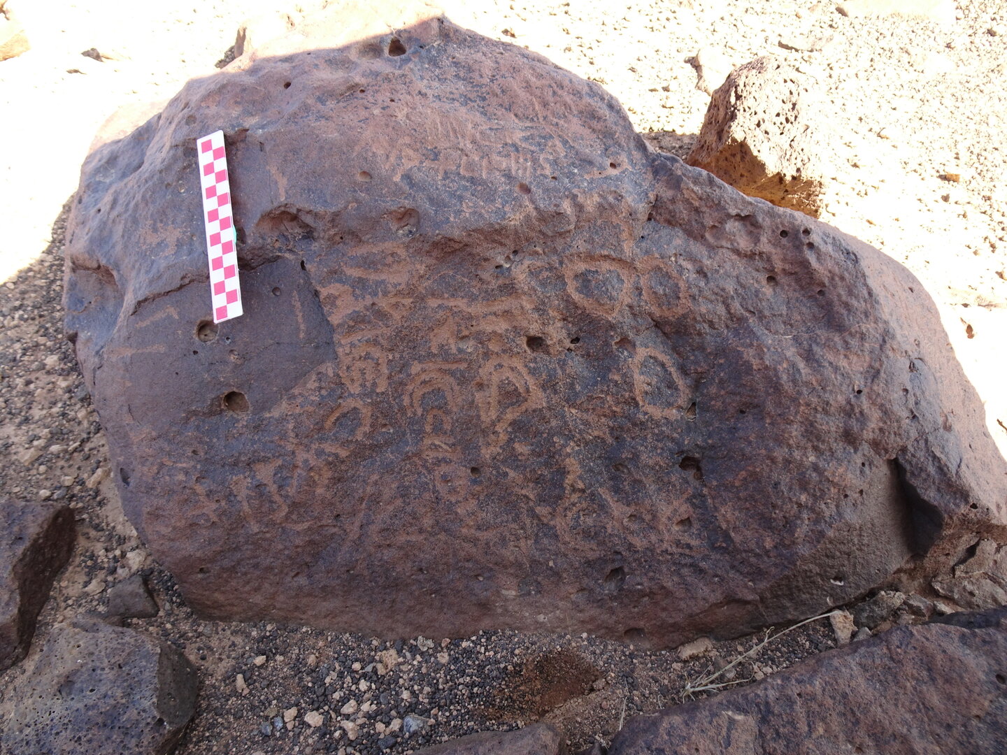 Image of siglum BES20 835
