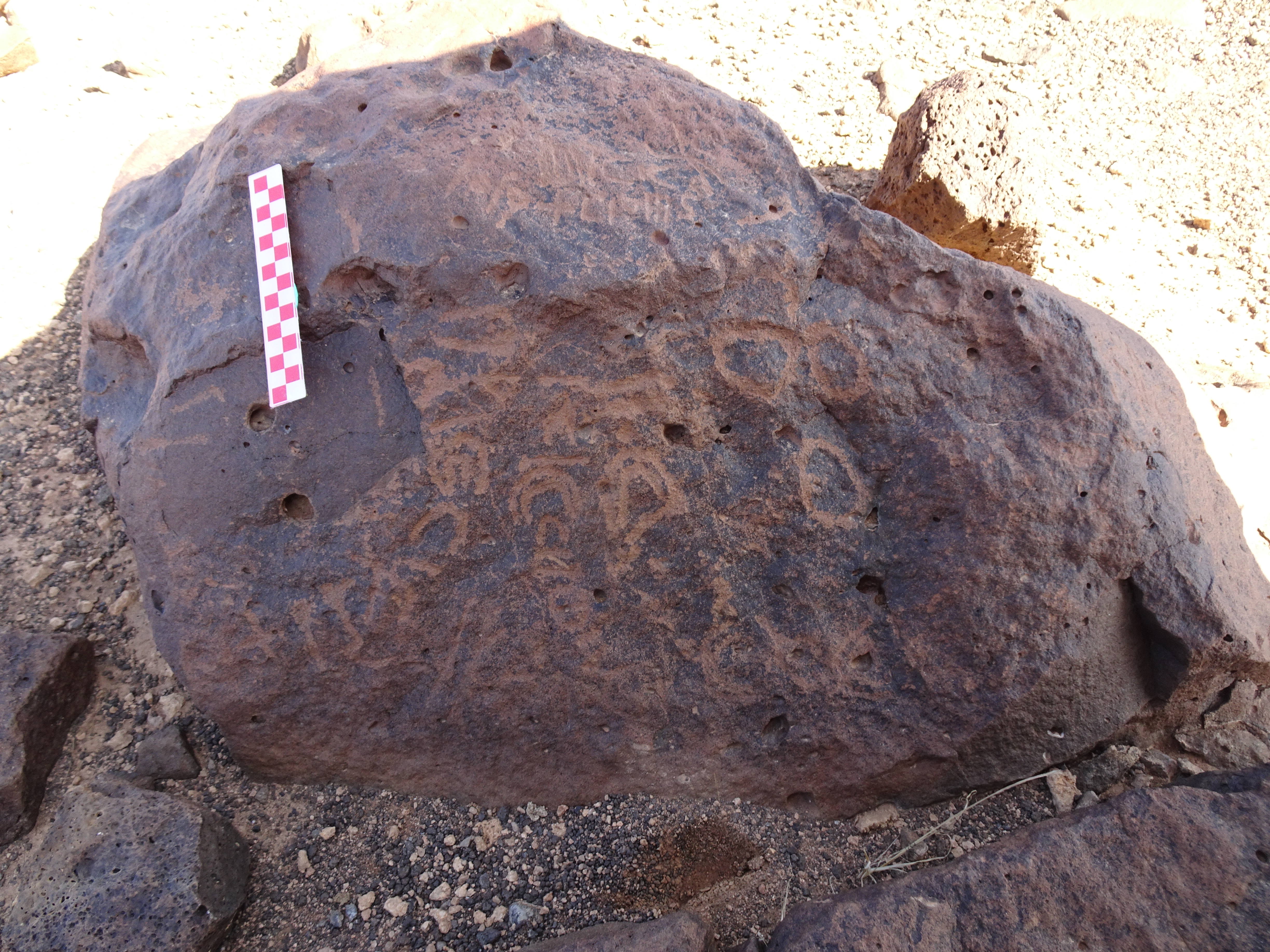 Image of siglum BES20 837