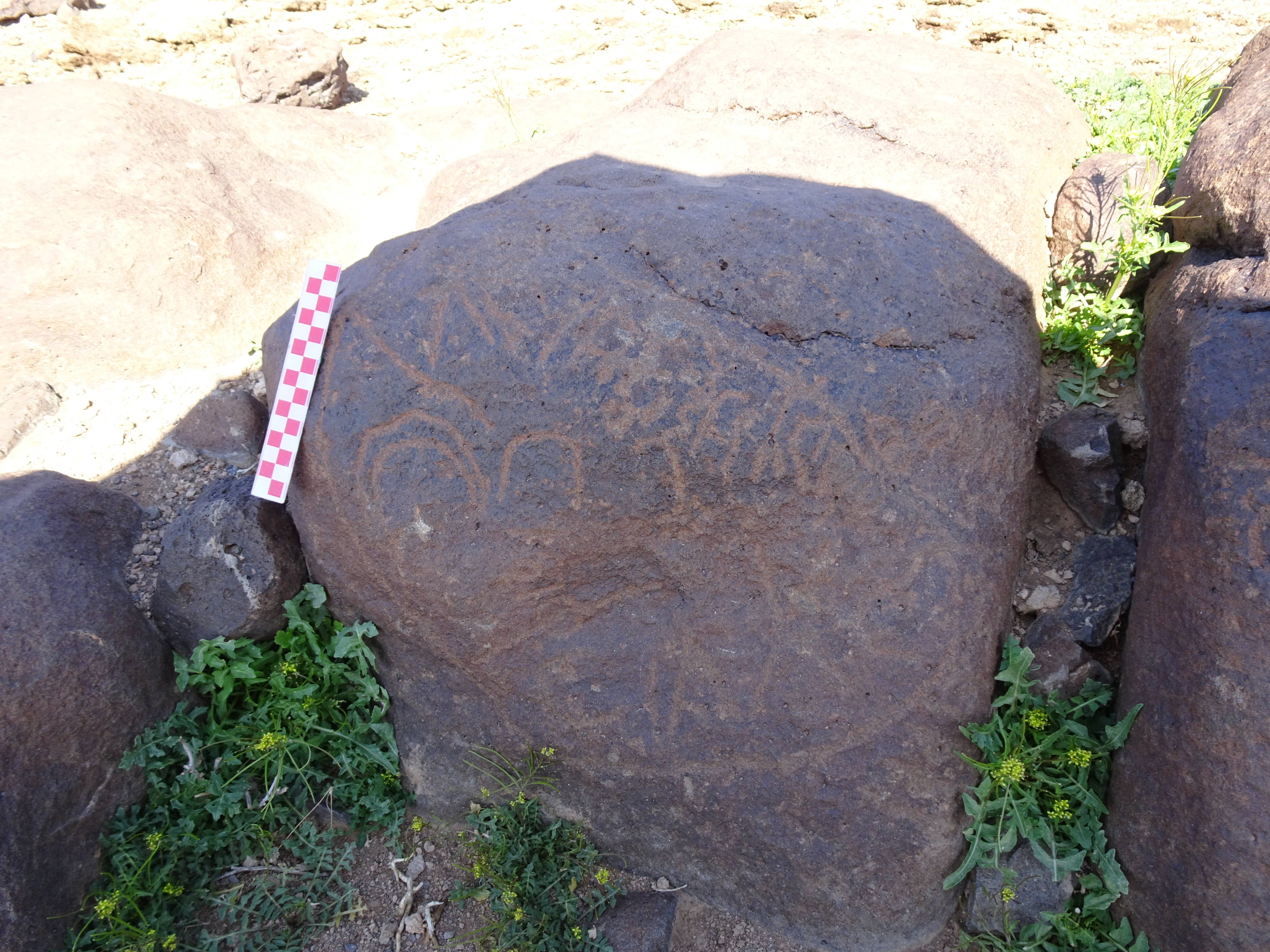 Image of siglum BES20 846
