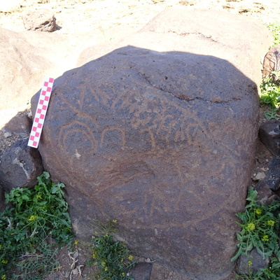 Image of siglum BES20 846