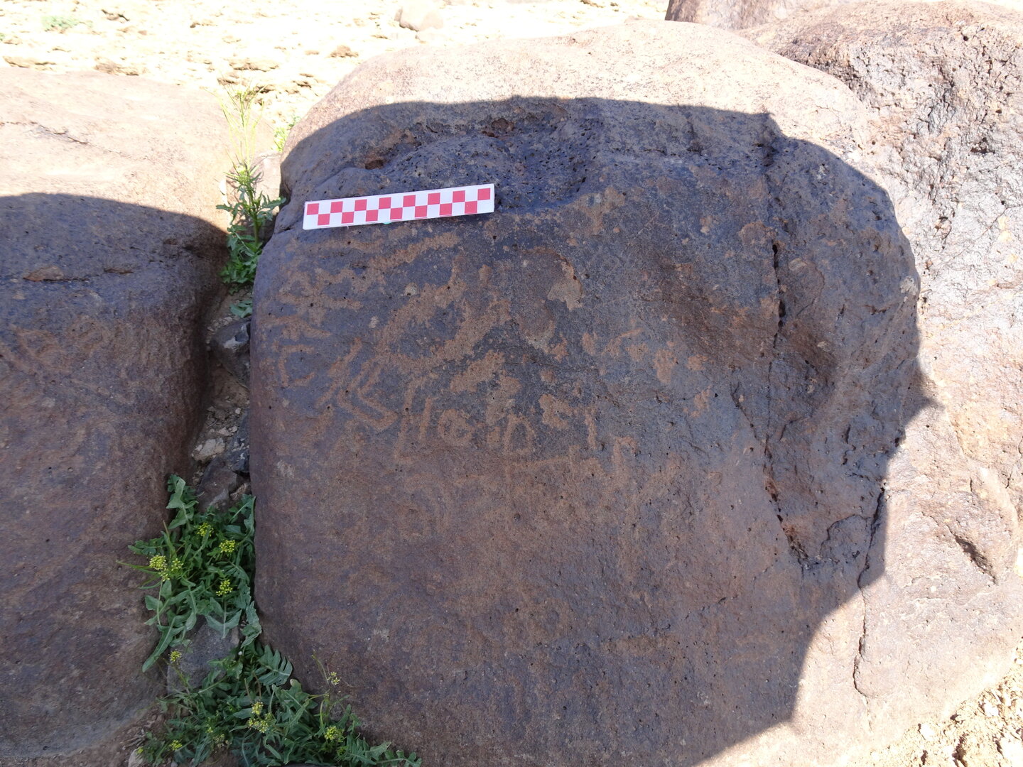 Image of siglum BES20 849