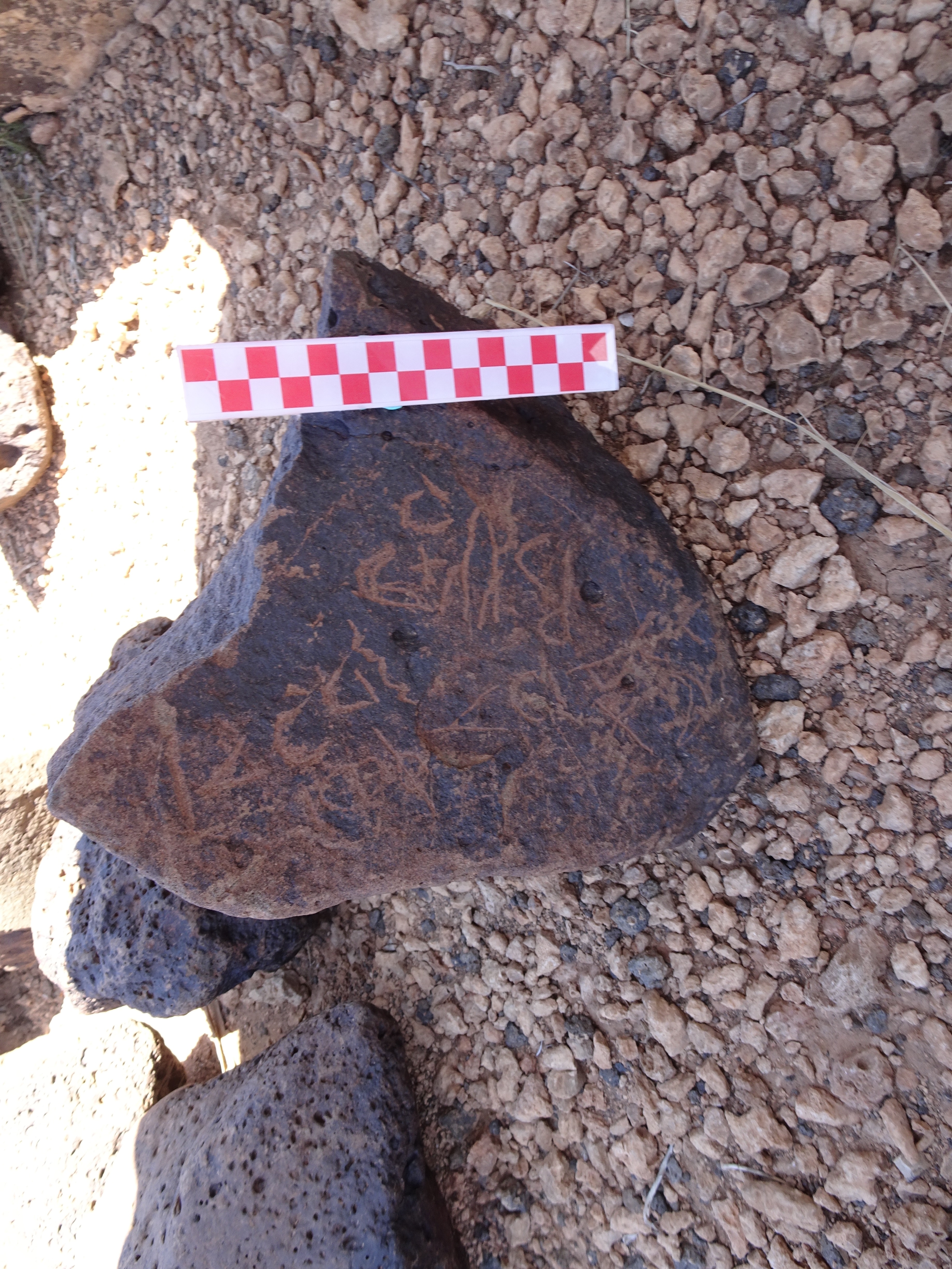 Image of siglum BES20 852