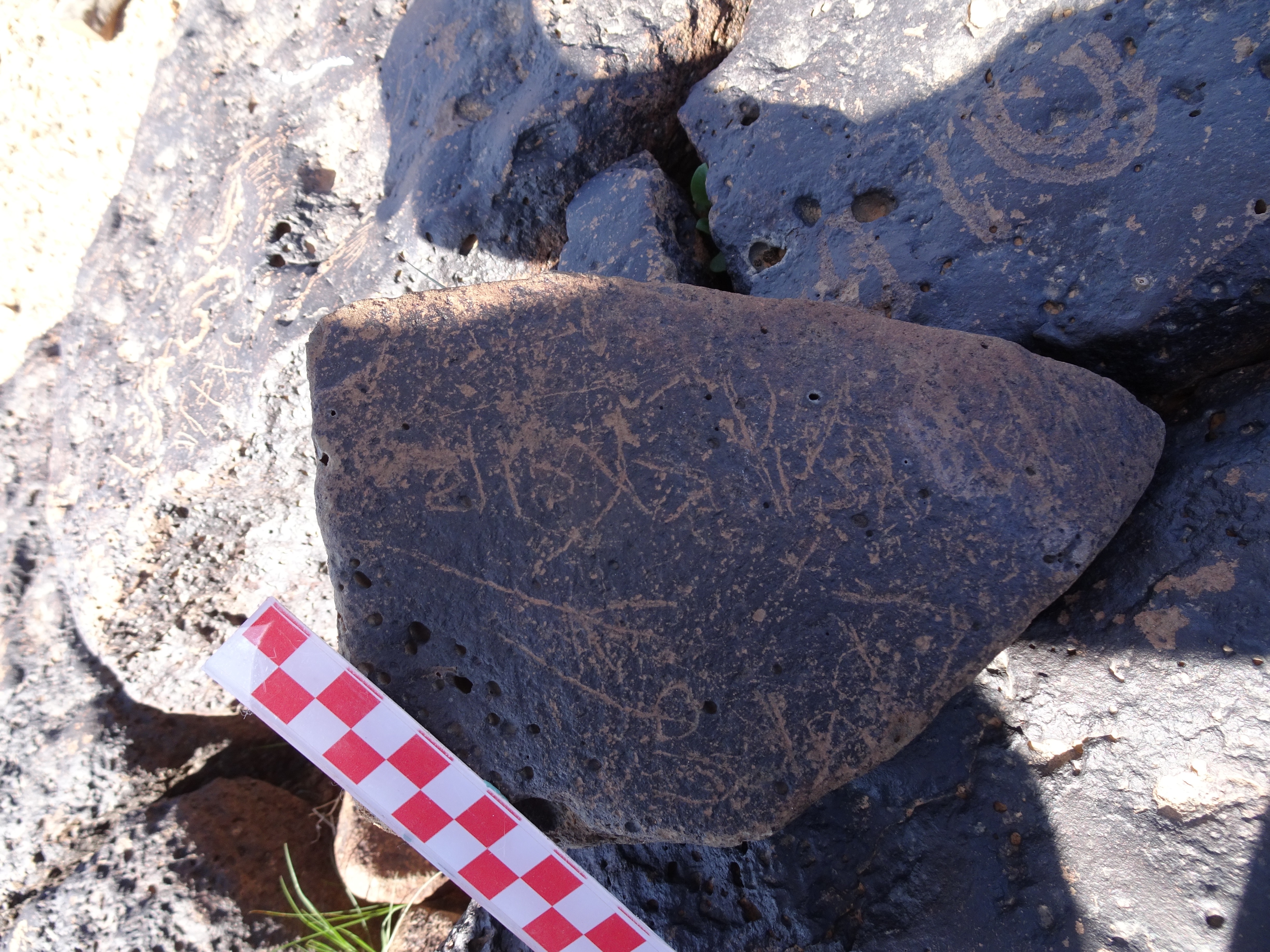 Image of siglum BES20 855