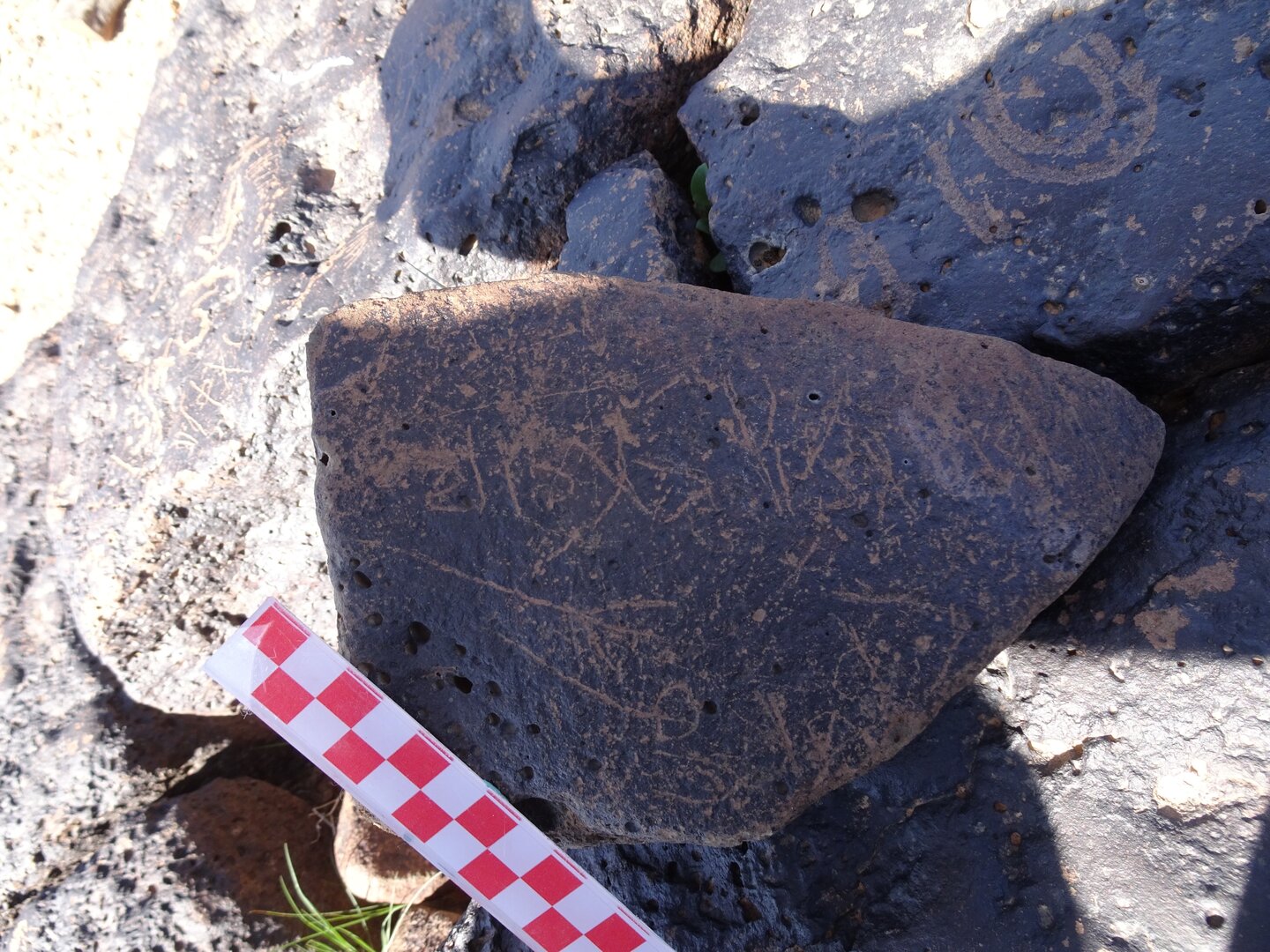 Image of siglum BES20 856