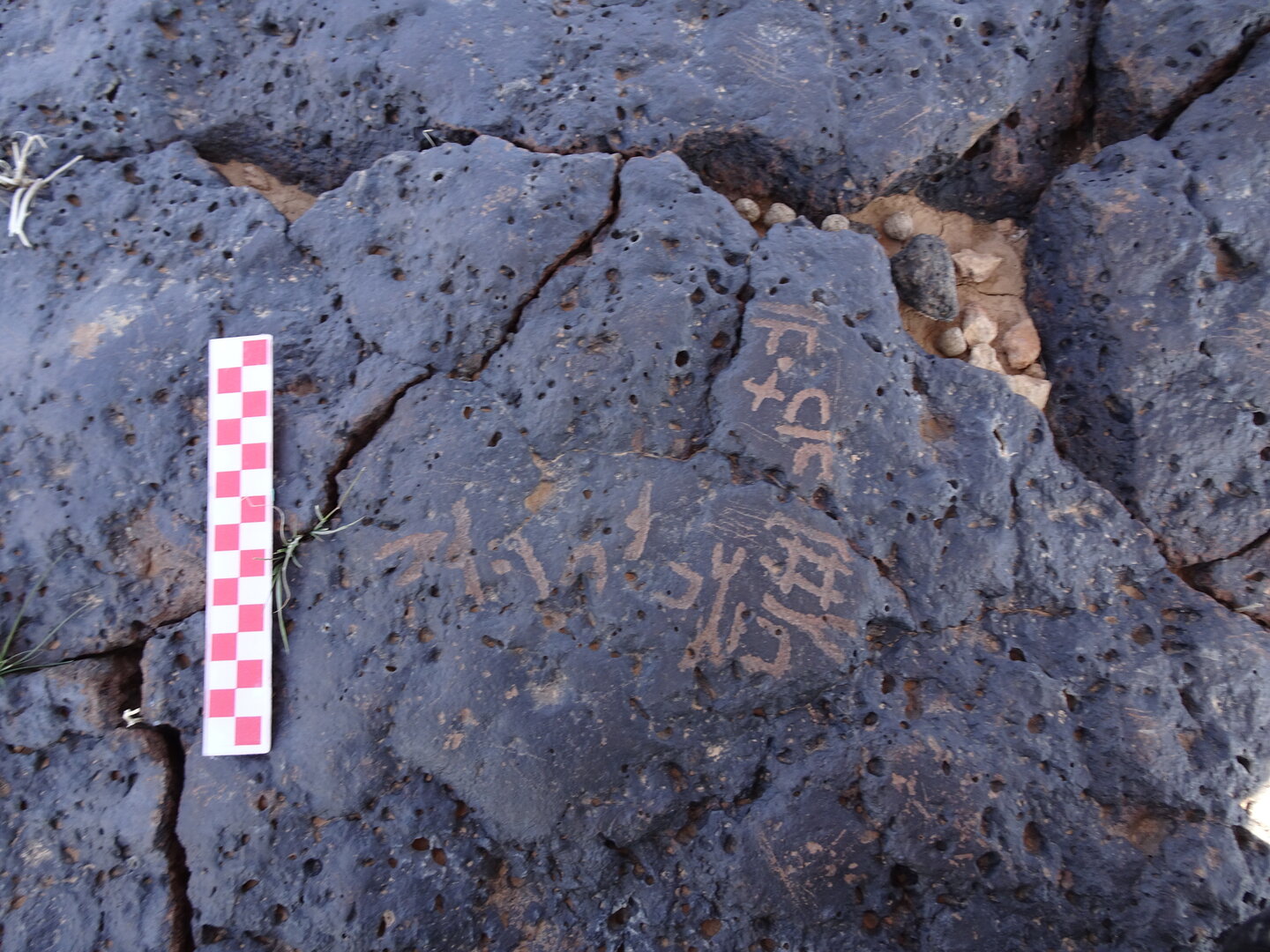 Image of siglum BES20 857