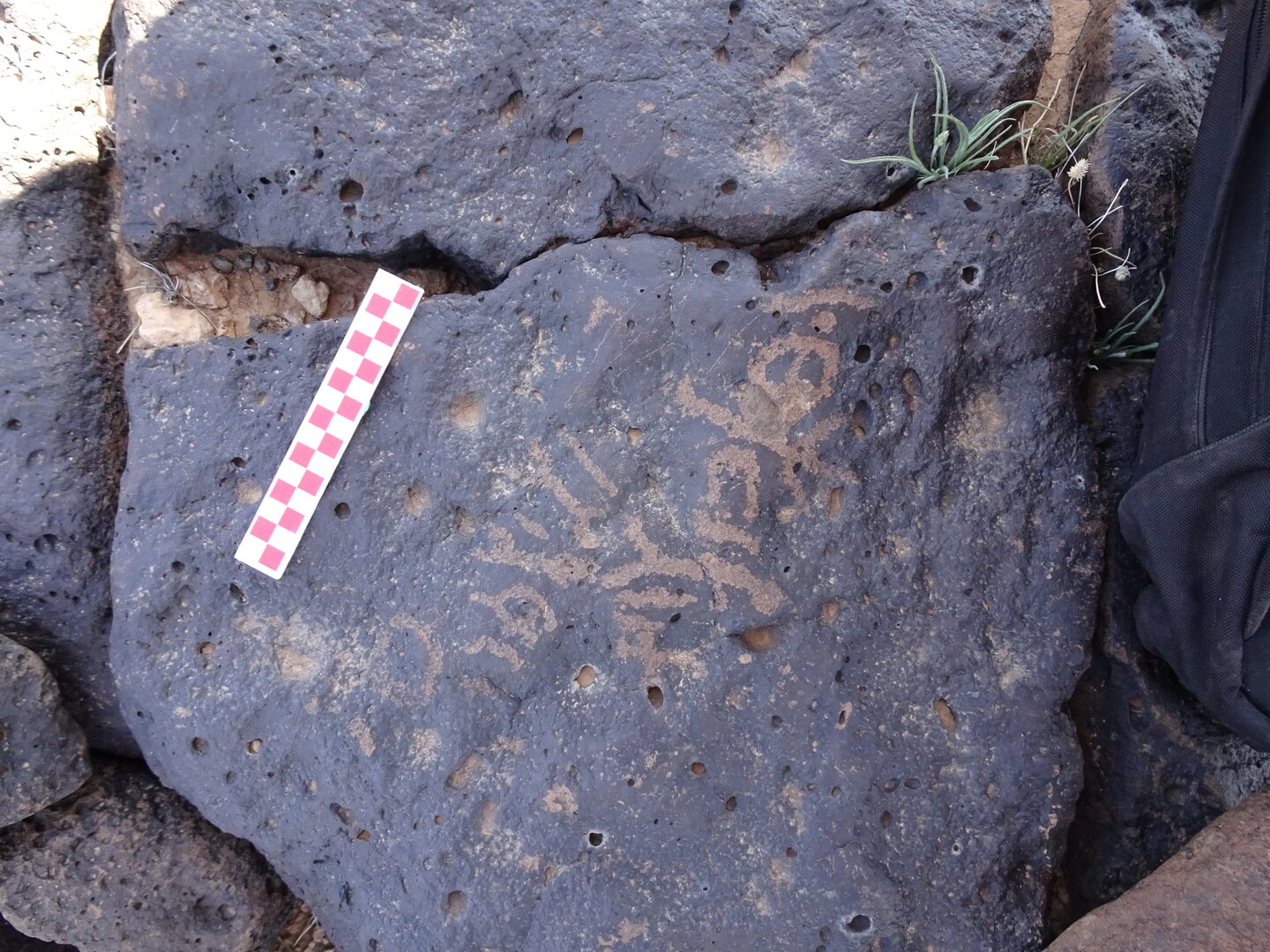 Image of siglum BES20 867