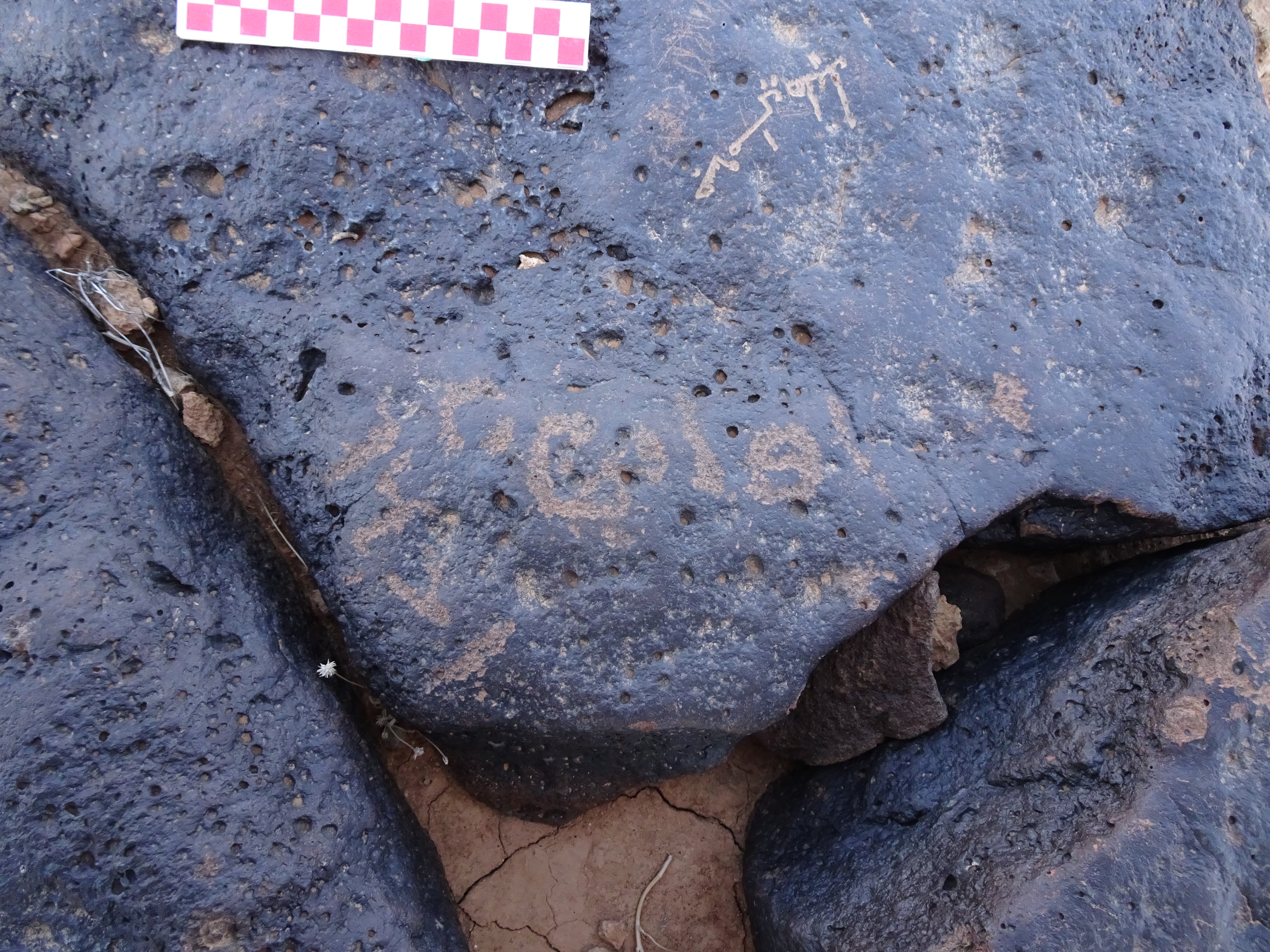 Image of siglum BES20 869