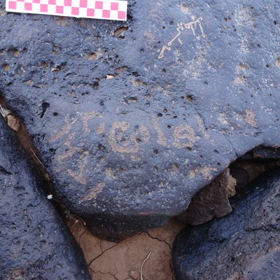 Image of siglum BES20 869