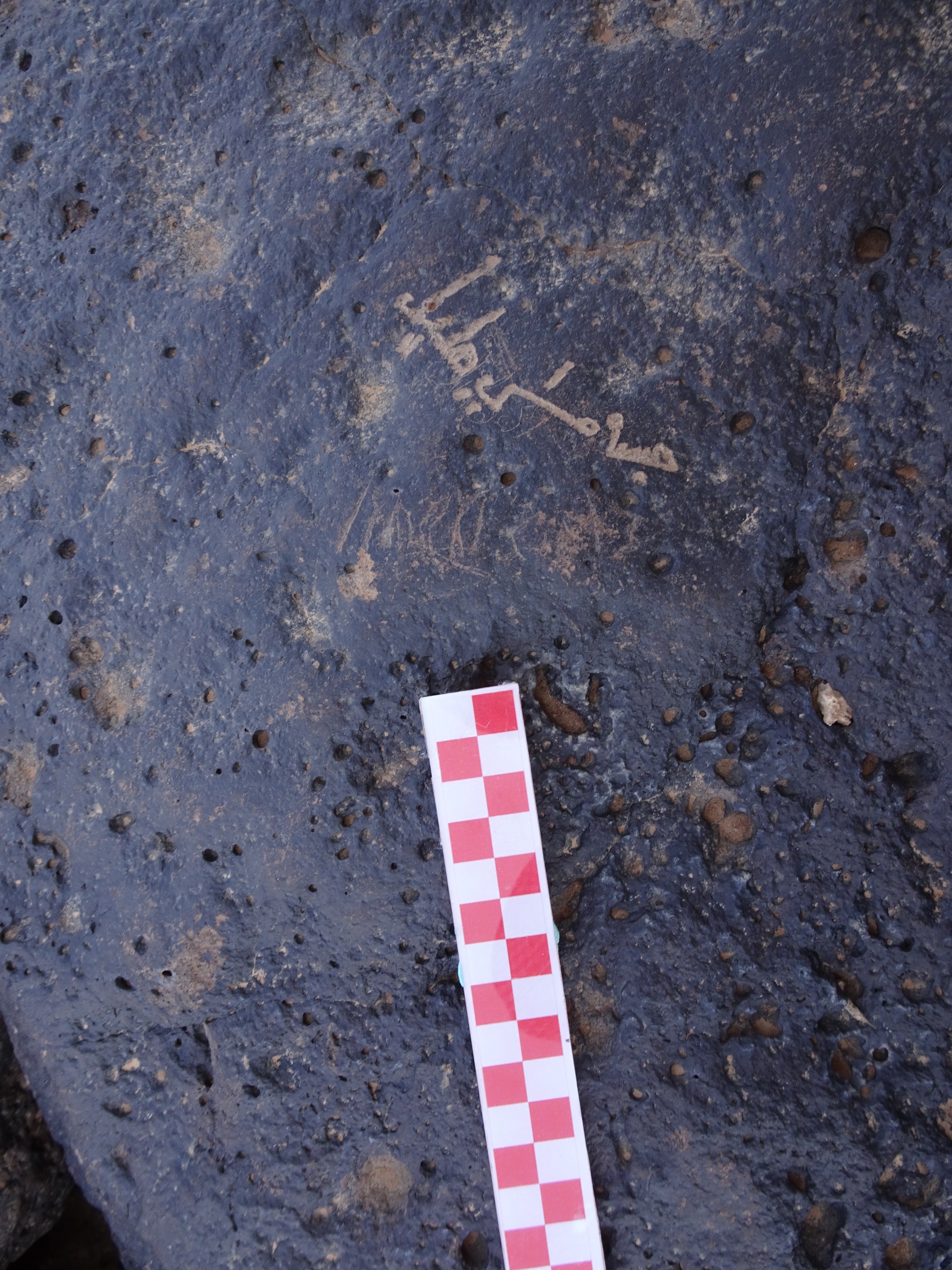 Image of siglum BES20 870