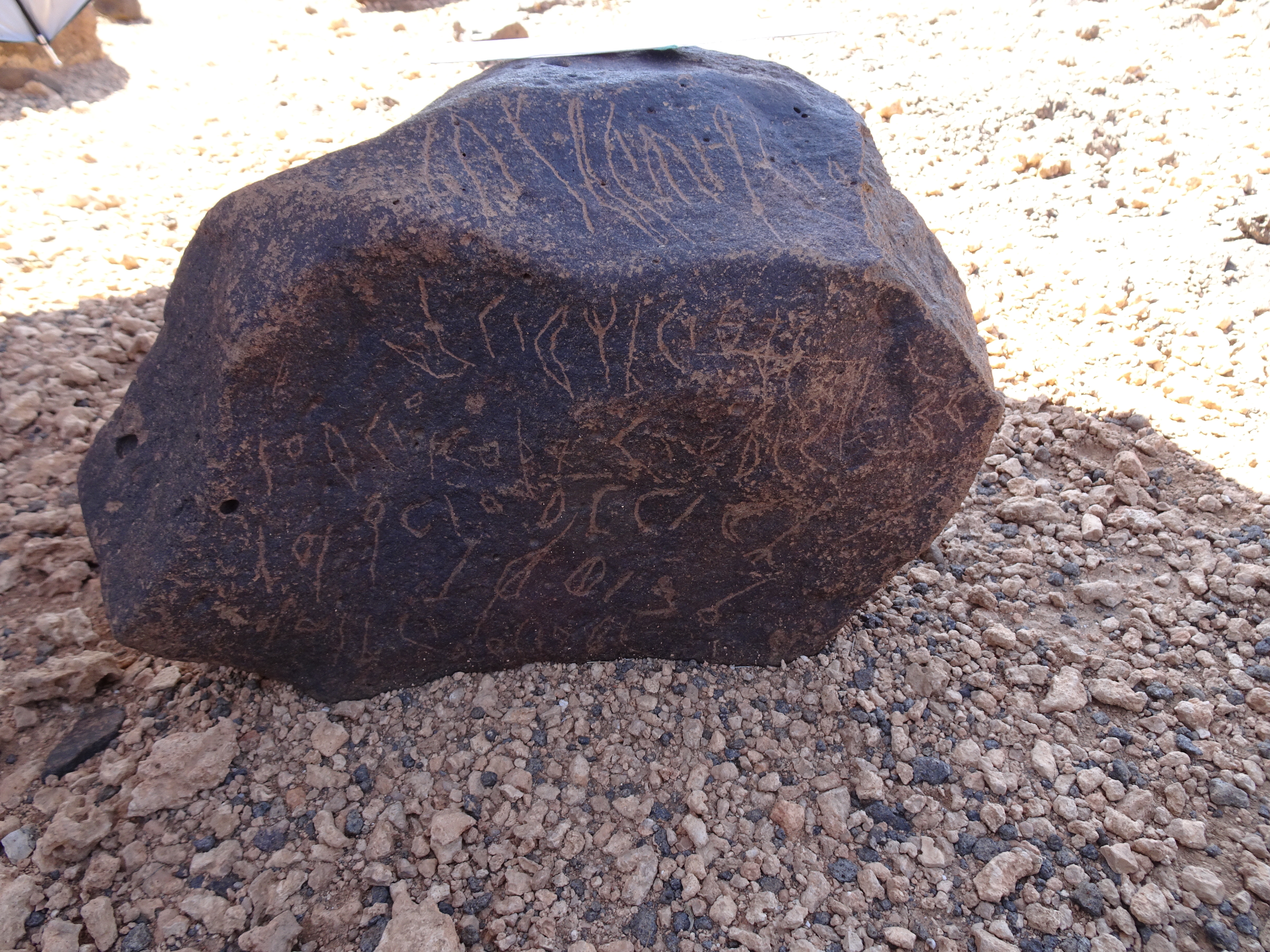 Image of siglum BES20 873