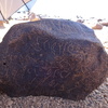 Image of siglum BES20 873