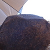 Image of siglum BES20 873
