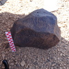 Image of siglum BES20 873