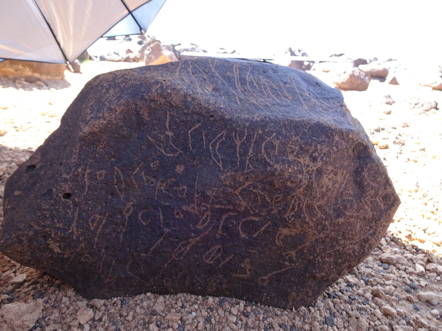 Image of siglum BES20 874