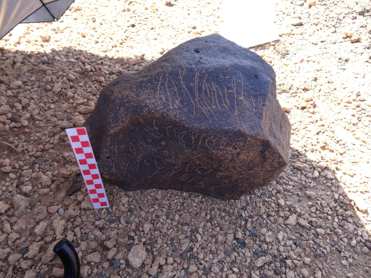 Image of siglum BES20 875