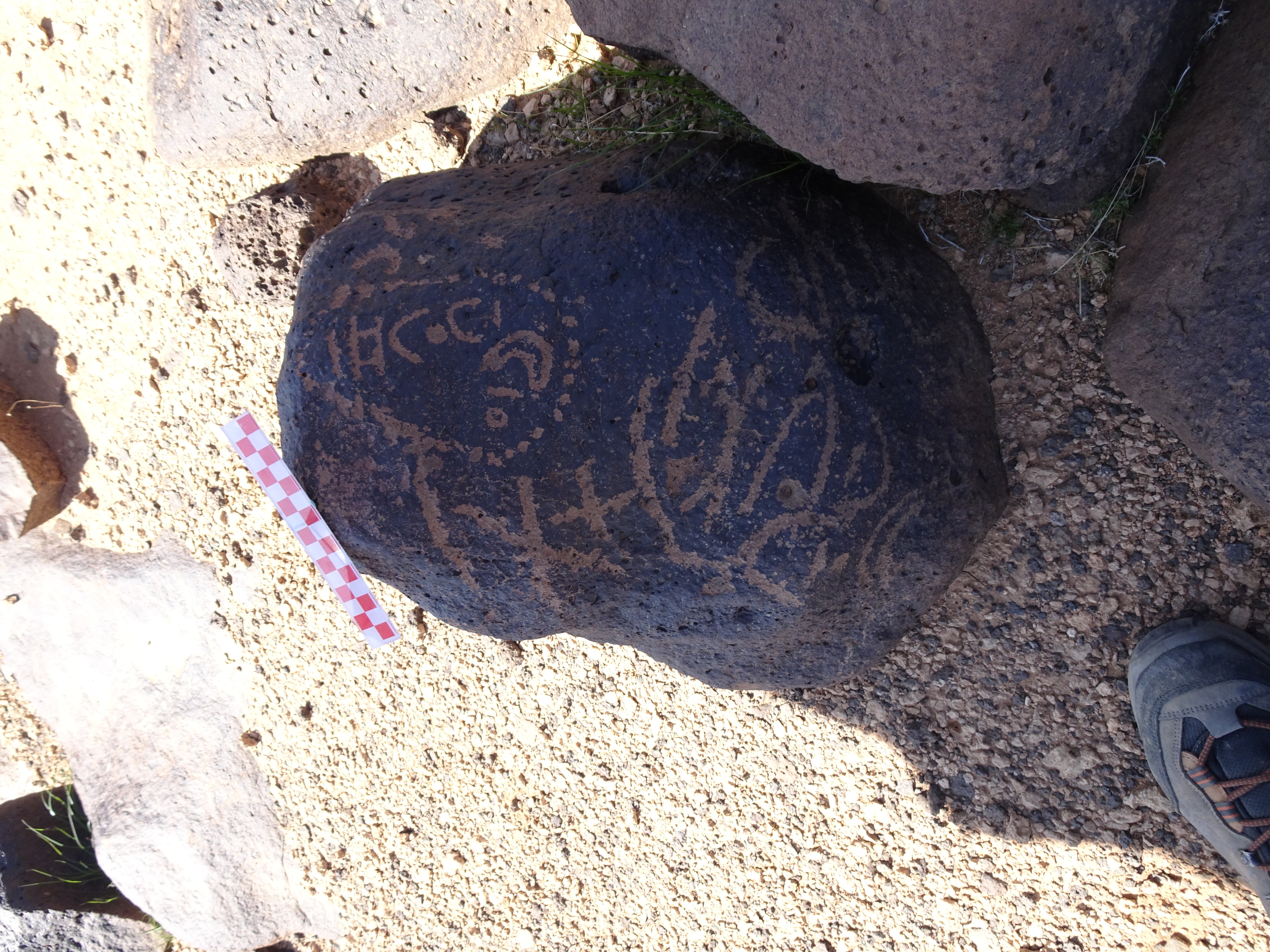 Image of siglum BES20 876