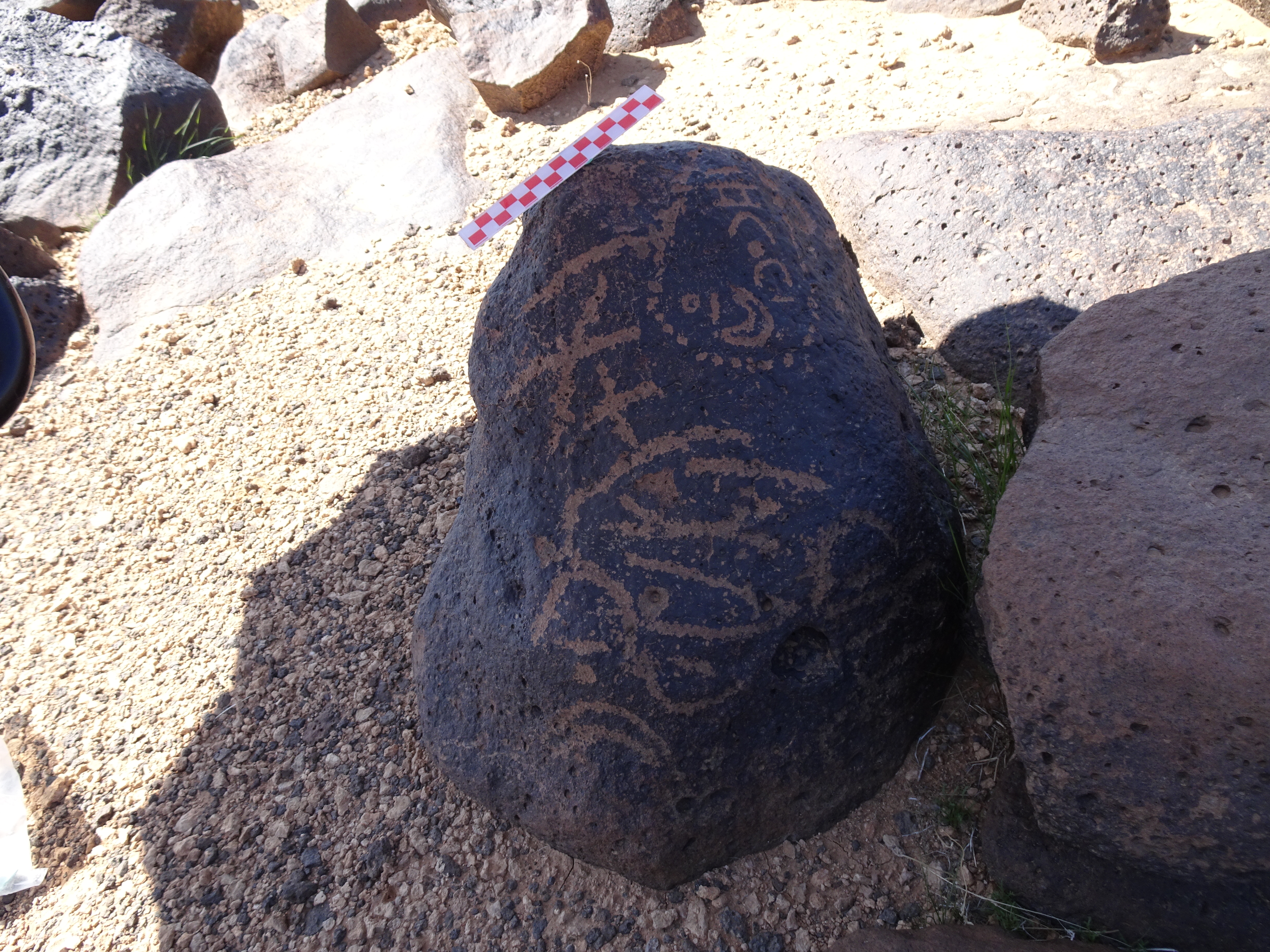 Image of siglum BES20 876