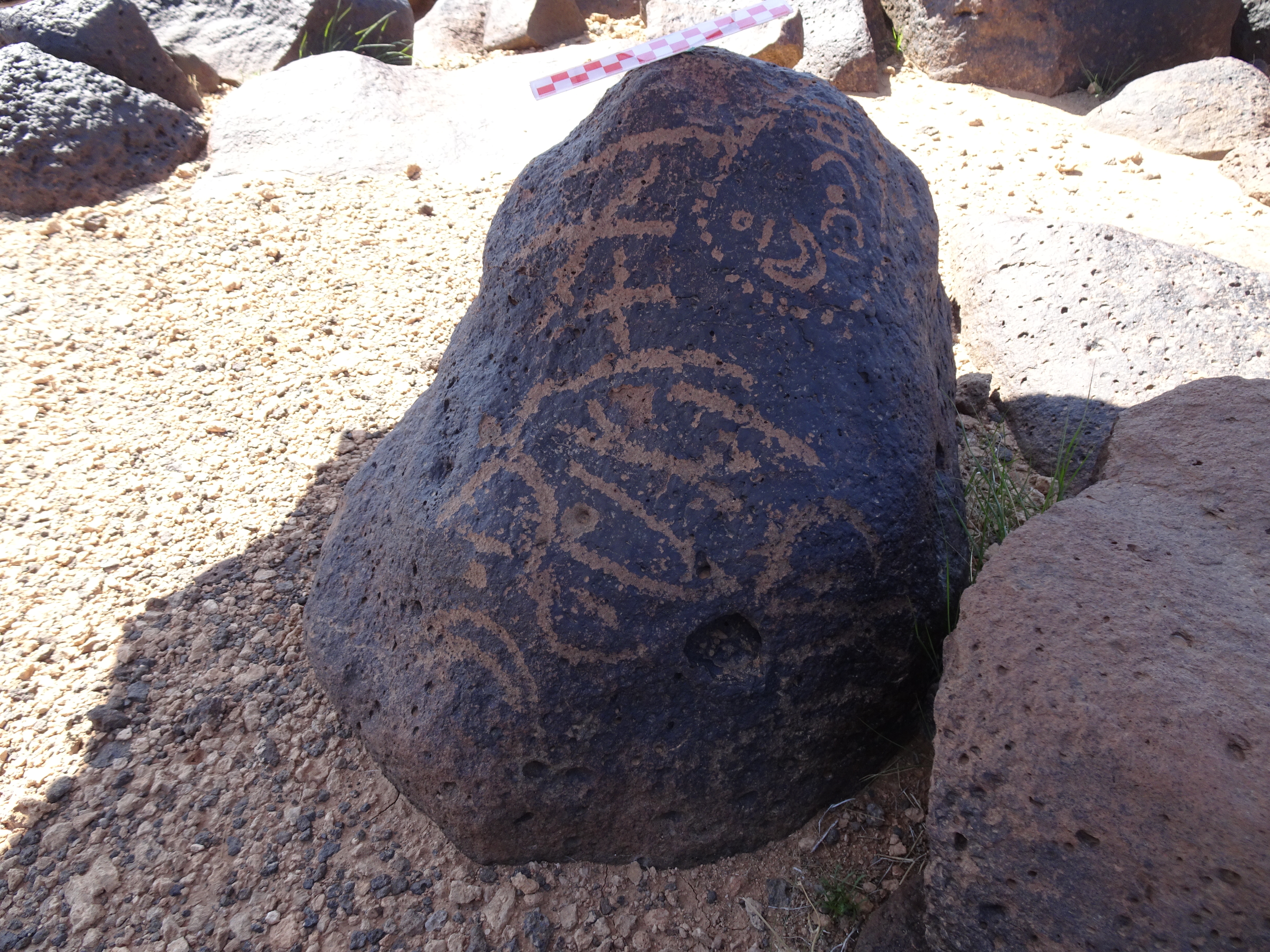 Image of siglum BES20 876