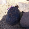 Image of siglum BES20 876