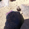 Image of siglum BES20 876