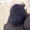 Image of siglum BES20 876