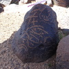 Image of siglum BES20 876