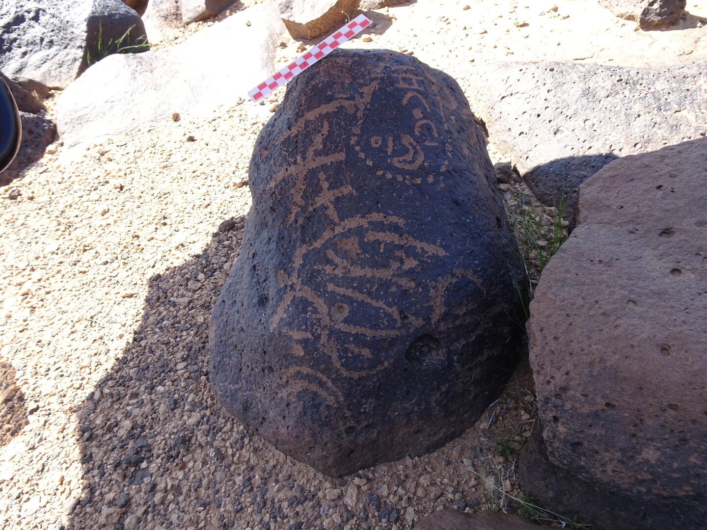 Image of siglum BES20 877