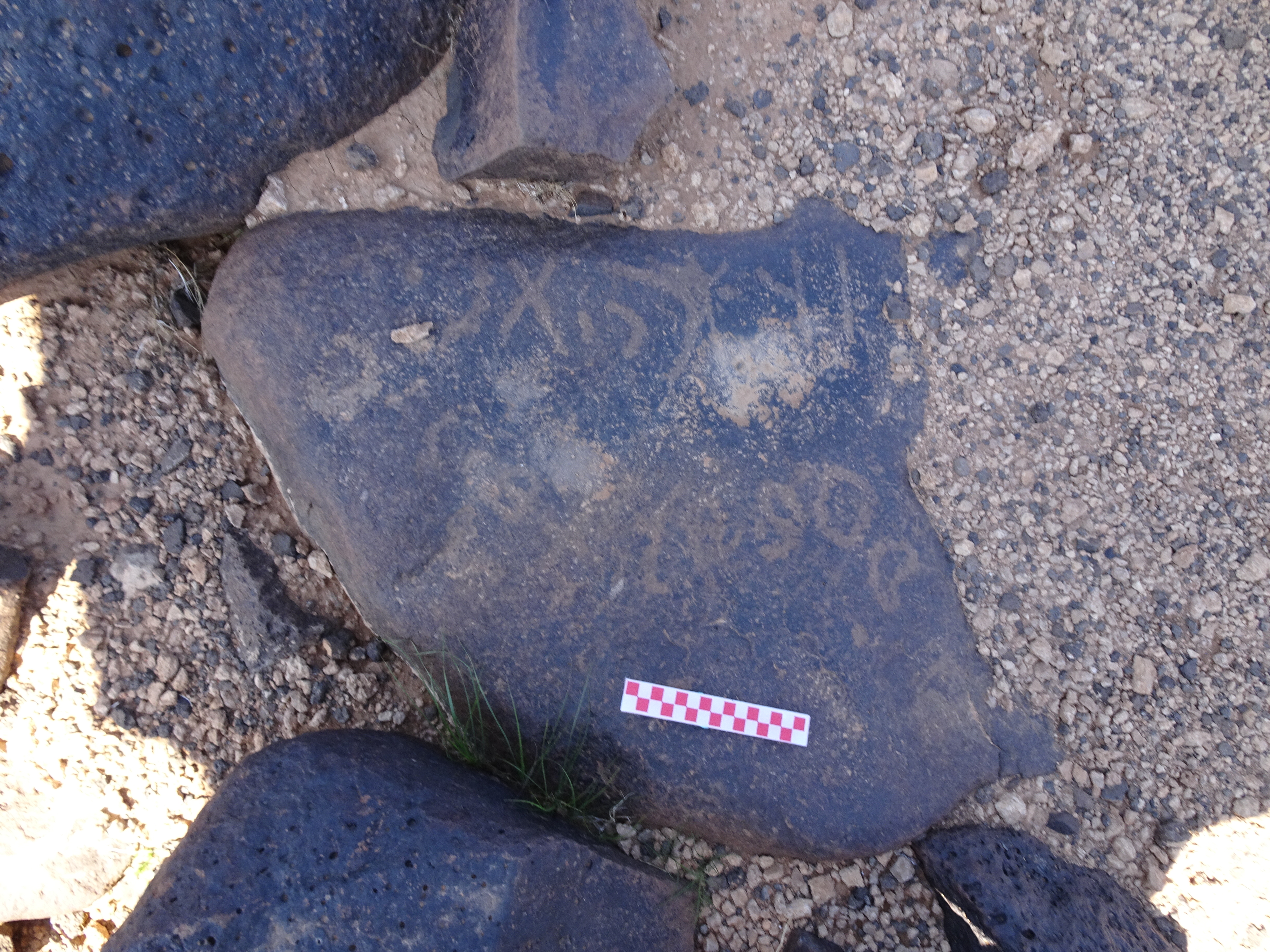 Image of siglum BES20 878