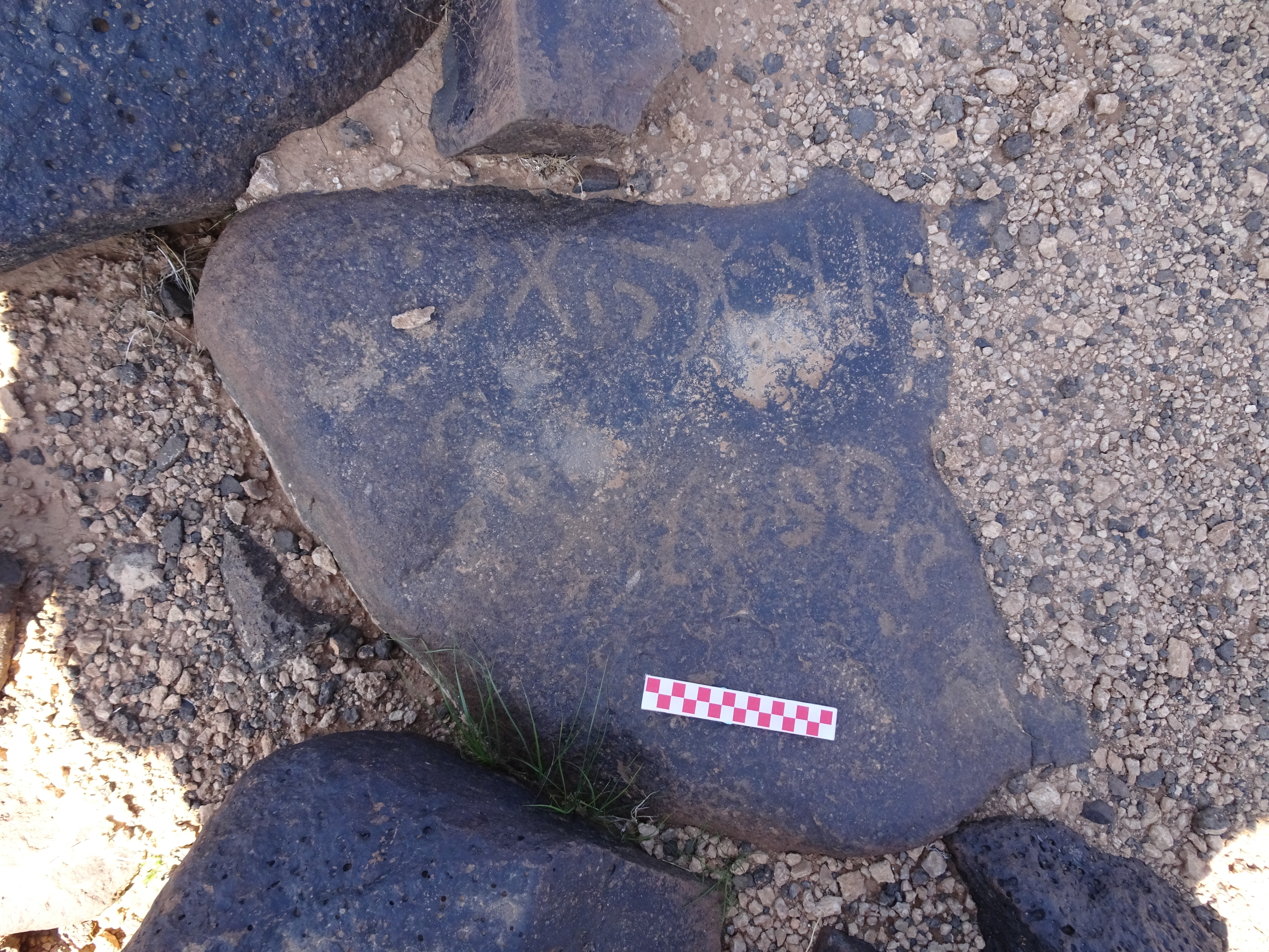 Image of siglum BES20 878