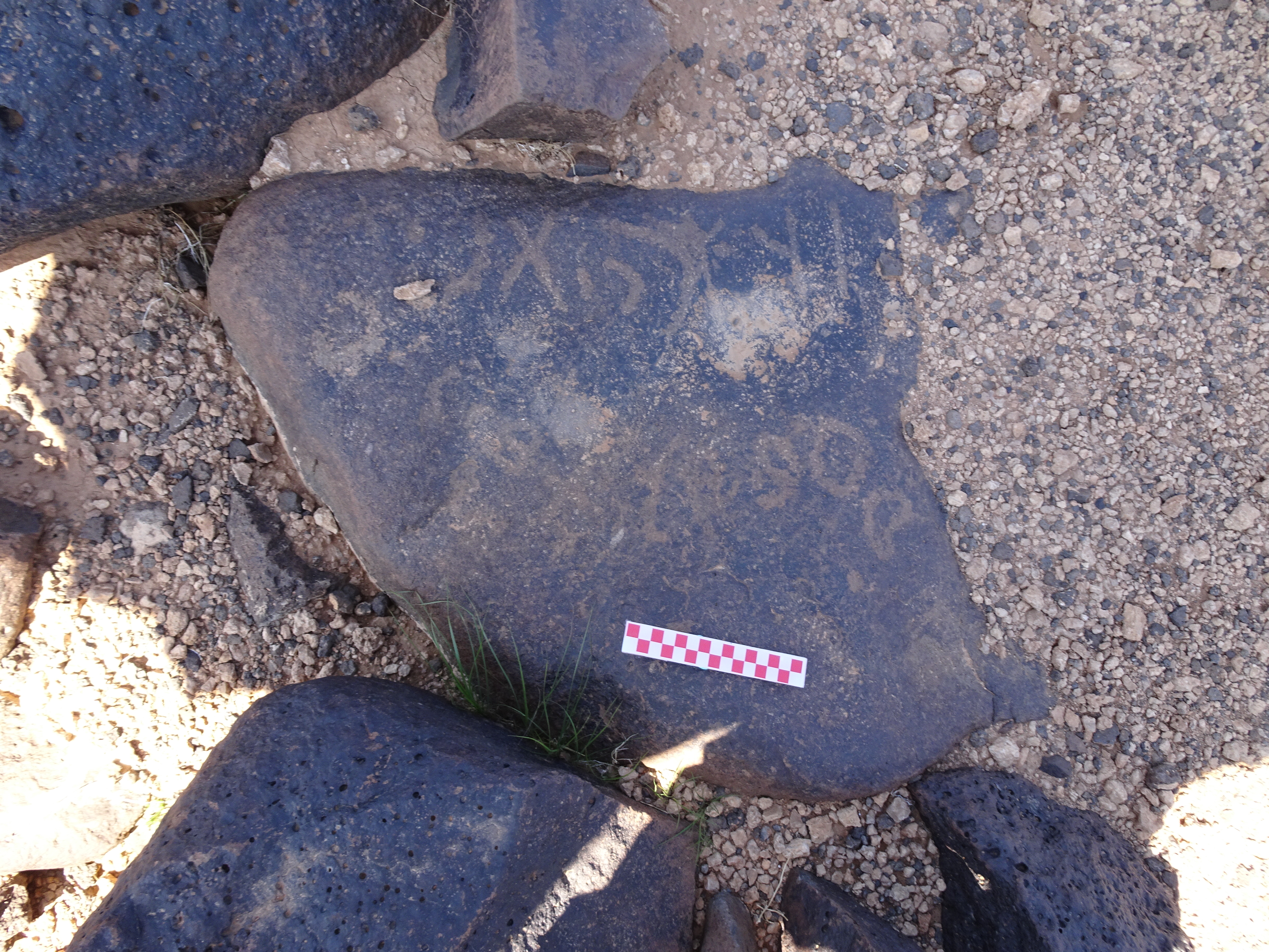 Image of siglum BES20 878