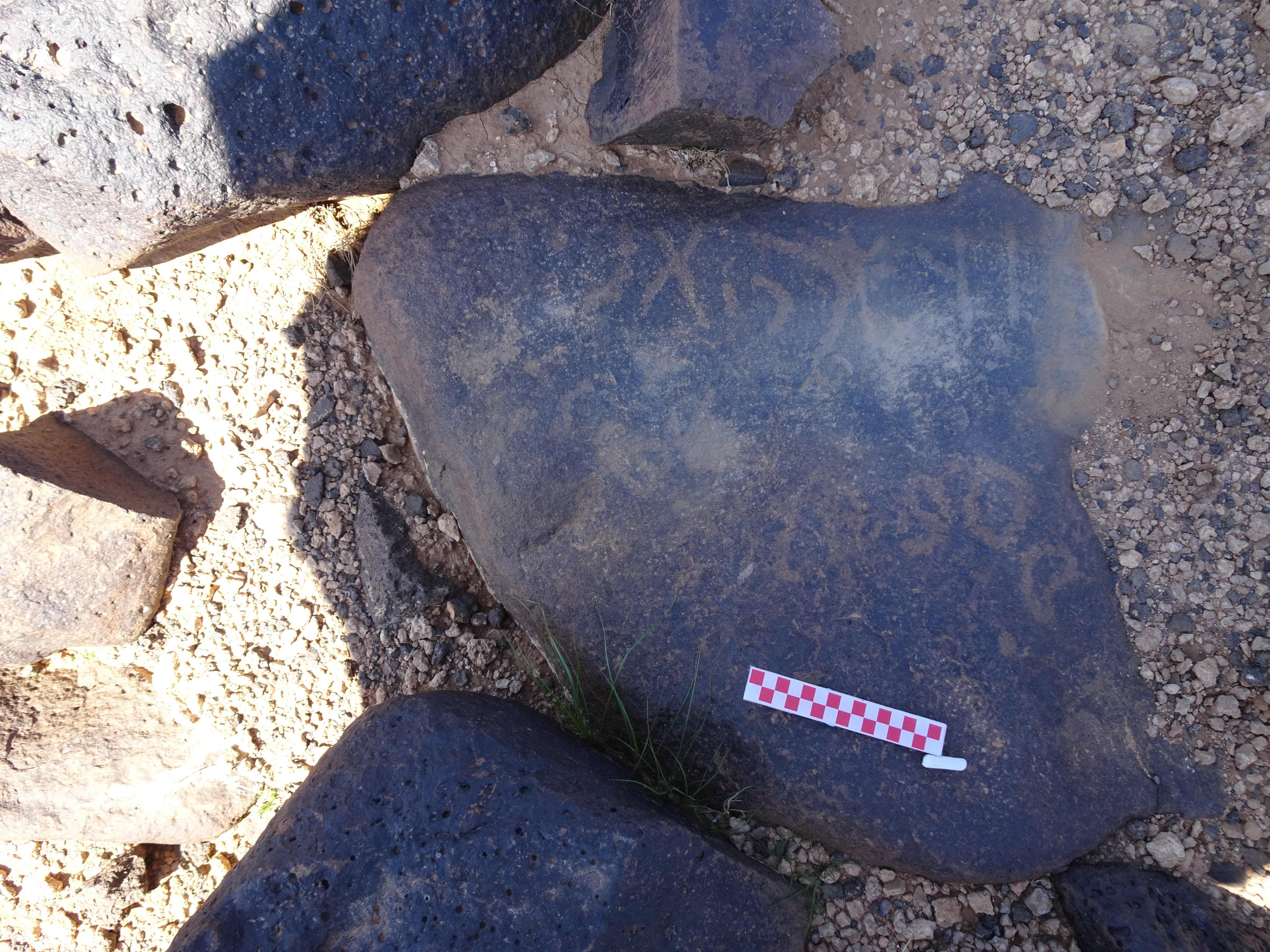 Image of siglum BES20 878