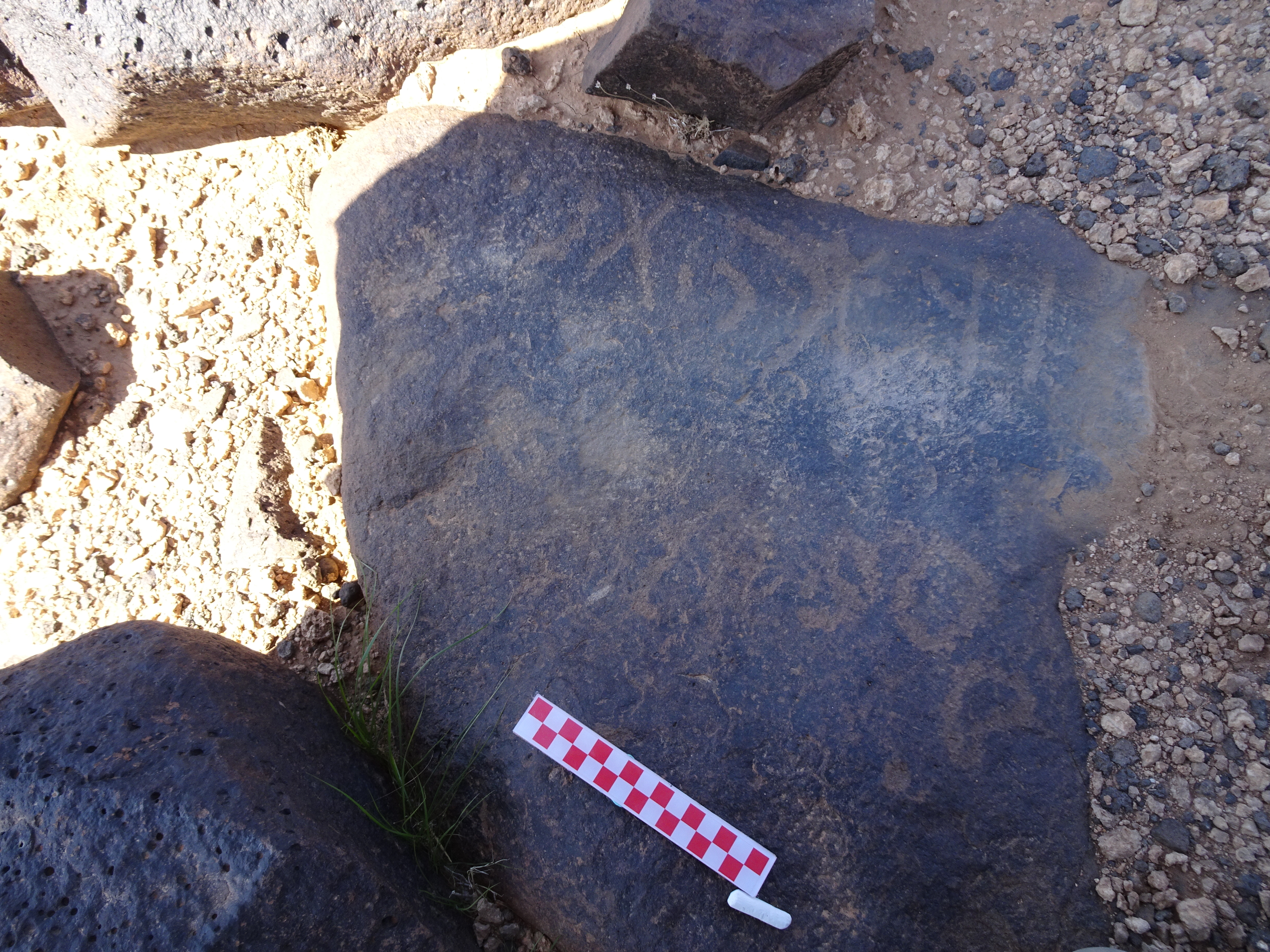 Image of siglum BES20 878