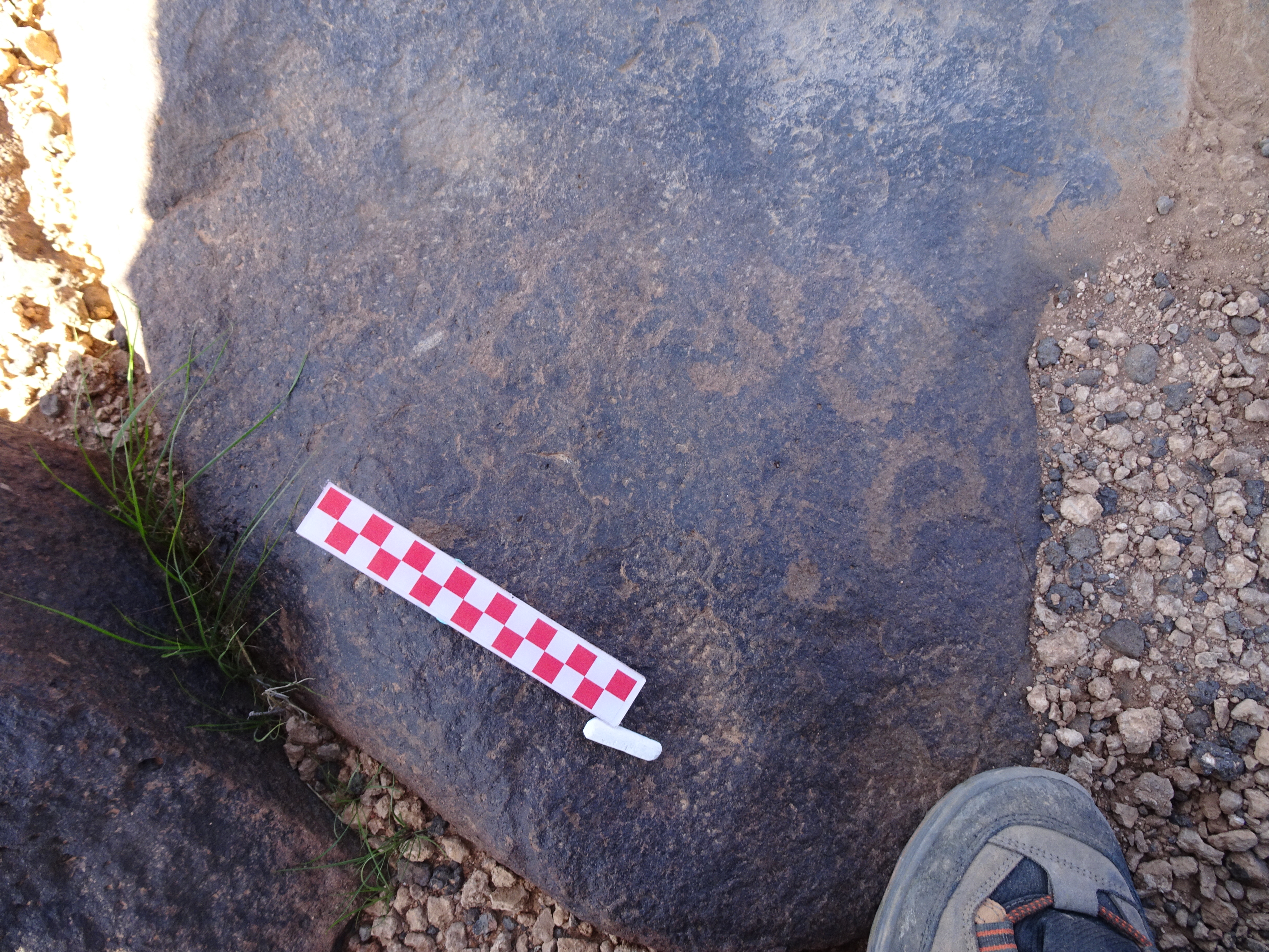 Image of siglum BES20 878