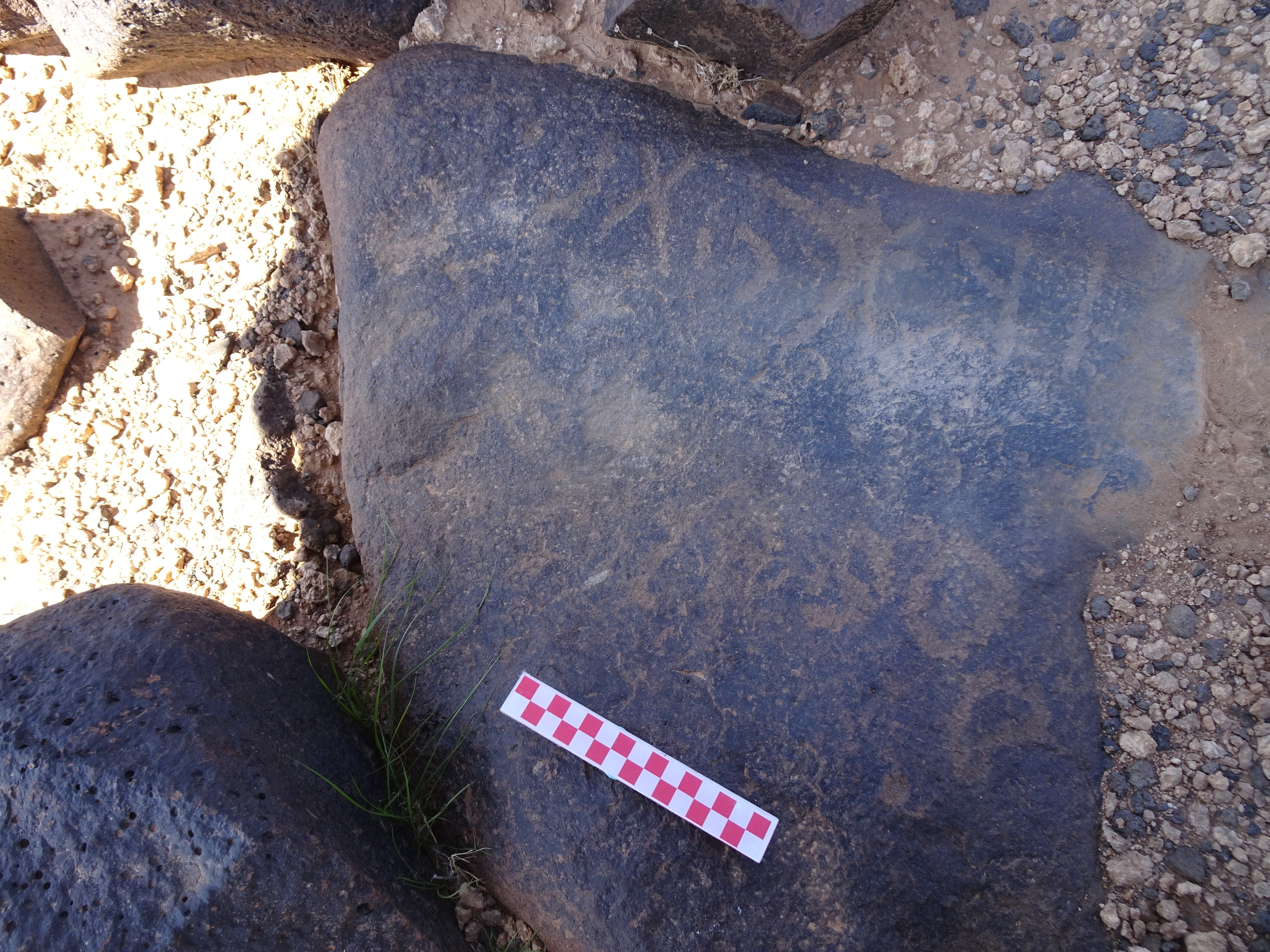 Image of siglum BES20 878