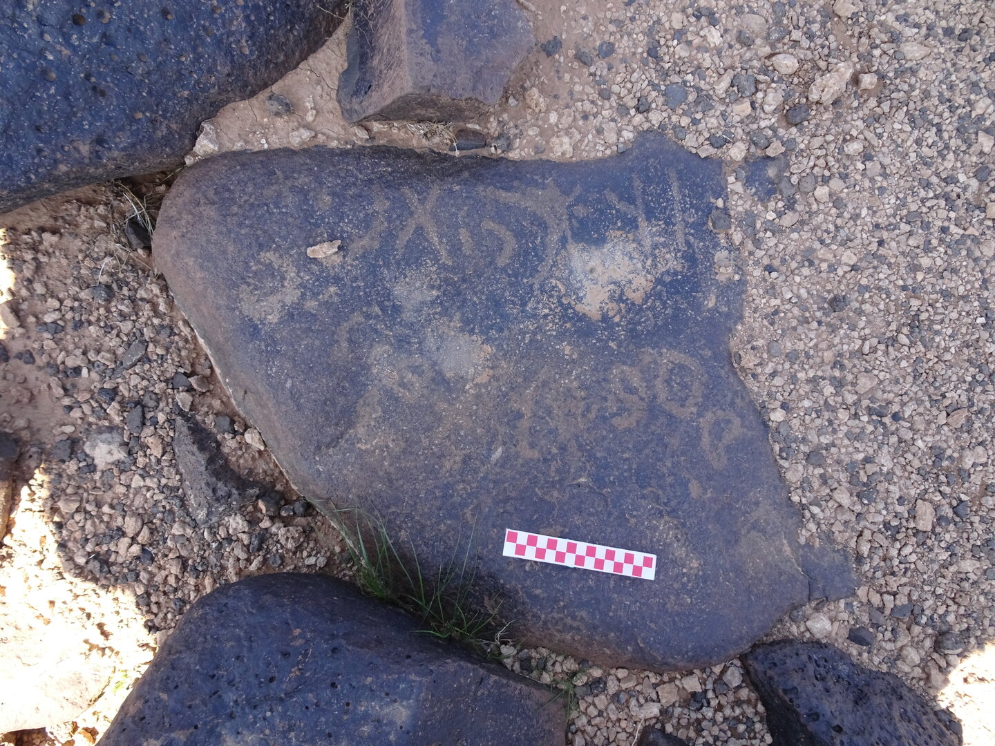 Image of siglum BES20 878