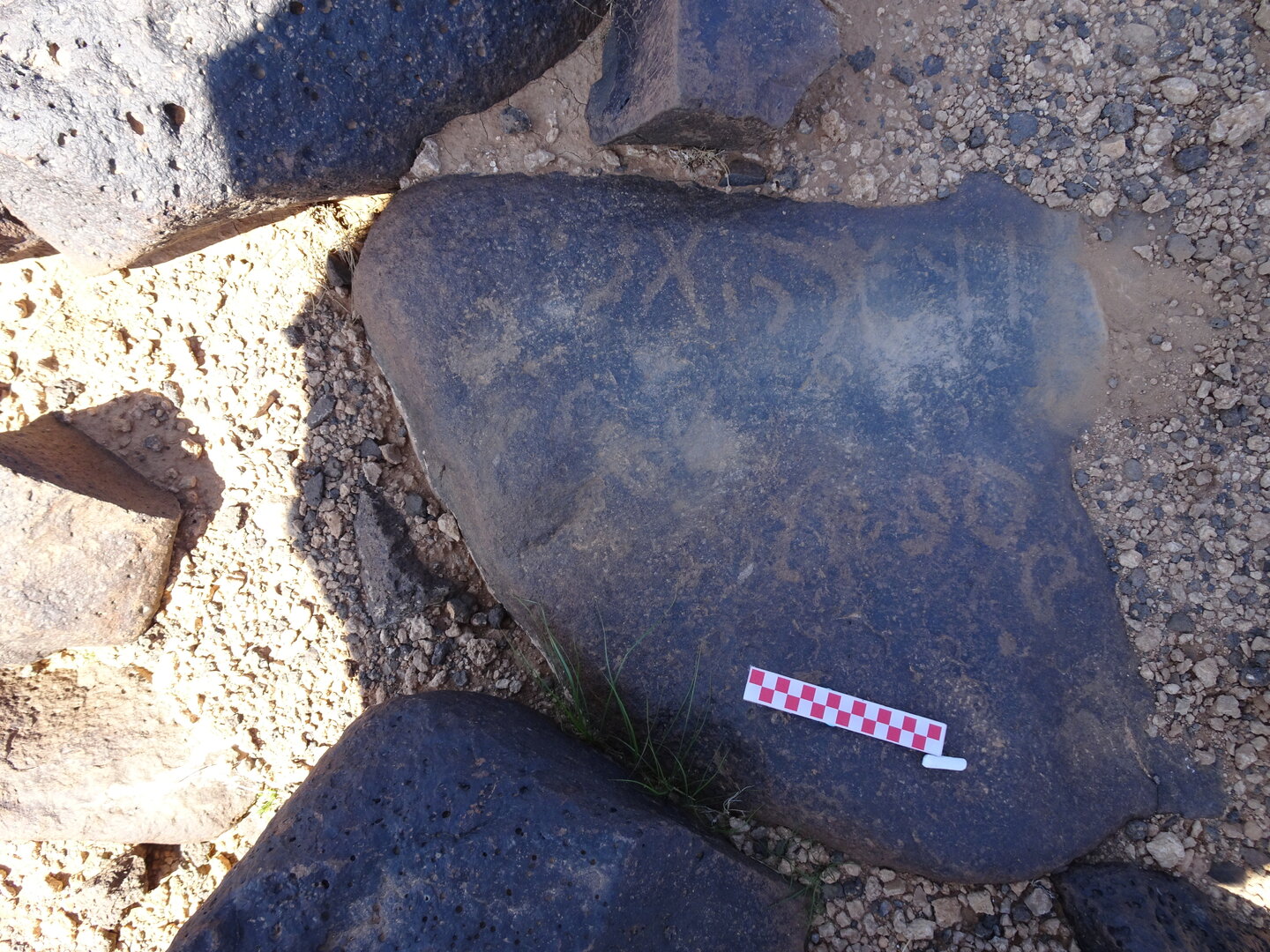 Image of siglum BES20 878