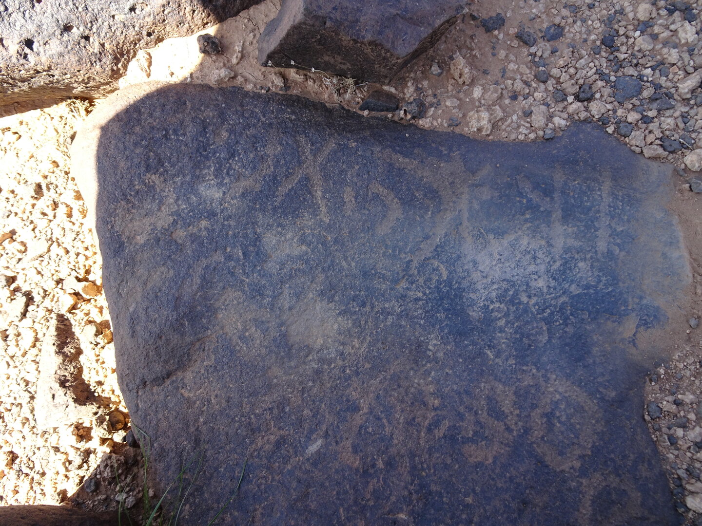 Image of siglum BES20 878